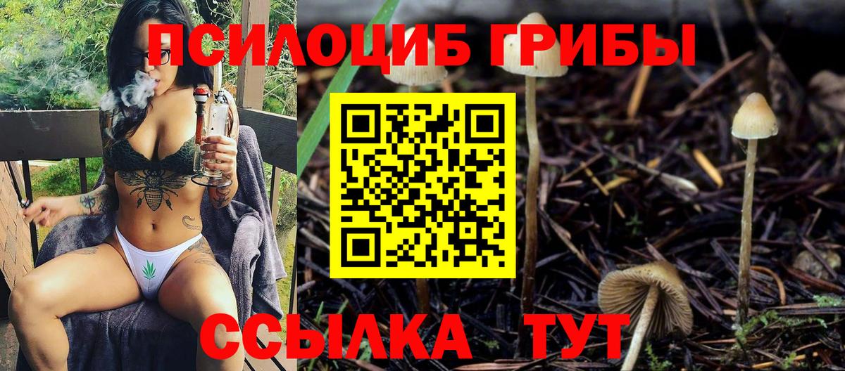 Псилоцибиновые грибы прущие грибы Серов