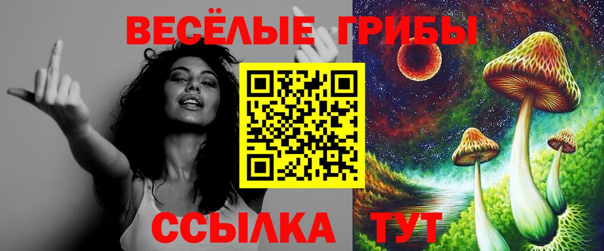 Галлюциногенные грибы мицелий  закладка  Серов  Вход с VPN 